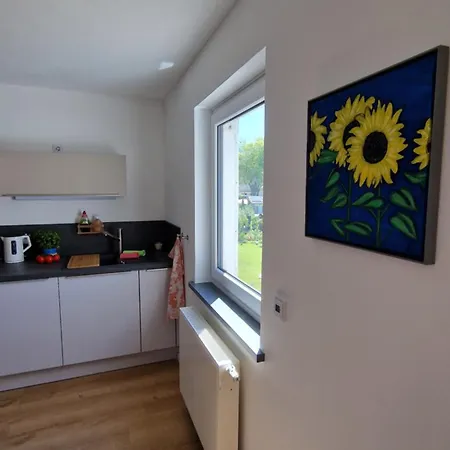 In Ot Wilden Neu Erstellt & Hochwertig アパート *