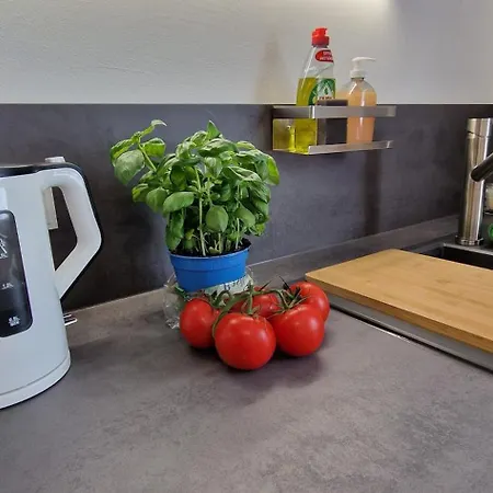 アパート In Ot Wilden Neu Erstellt & Hochwertig