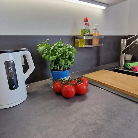 アパート In Ot Wilden Neu Erstellt & Hochwertig ヴィルンスドルフ