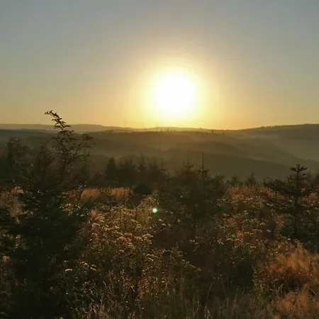 In Ot Wilden Neu Erstellt & Hochwertig *