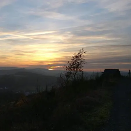 In Ot Wilden Neu Erstellt & Hochwertig ヴィルンスドルフ