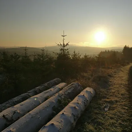 In Ot Wilden Neu Erstellt & Hochwertig ヴィルンスドルフ