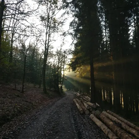 In Ot Wilden Neu Erstellt & Hochwertig