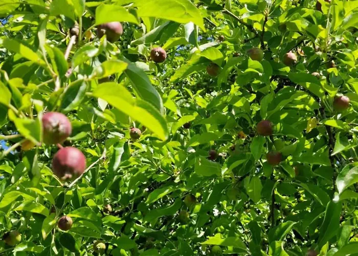 In Ot Wilden Neu Erstellt & Hochwertig * Wilnsdorf