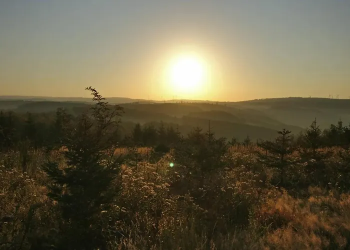 In Ot Wilden Neu Erstellt & Hochwertig *
