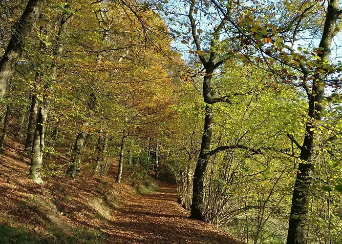 In Ot Wilden Neu Erstellt & Hochwertig Lägenhet *